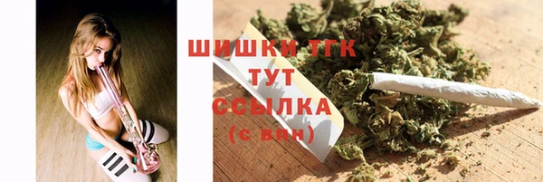 mix Бородино